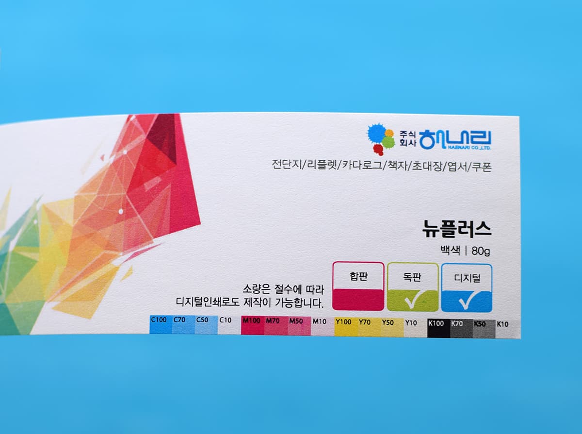 뉴플러스